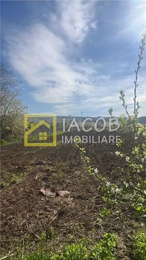 Teren intravilan 2554 mp, com. Prajesti, jud. Bacau - imagine 16