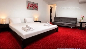 cazare baile felix - imagine 2