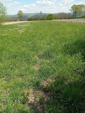 Clădire+50ari de vânzare  - imagine 5