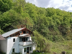 Proprietate turistică | Fost hotel | Teren 8900 mp | Aproape de Dunăre - imagine 4