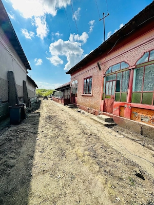 Vand casa in comuna Izvoarele județul Teleorman  - imagine 6