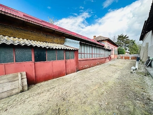 Vand casa in comuna Izvoarele județul Teleorman 