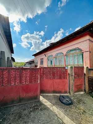 Vand casa in comuna Izvoarele județul Teleorman  - imagine 5