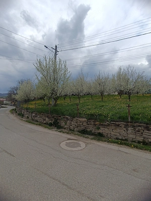 1000mp teren intravilan,livadă pruni ,Com. Starchiojd  - imagine 3