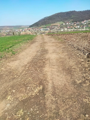 Vând pământ intravilan în comuna Riciu  - imagine 6