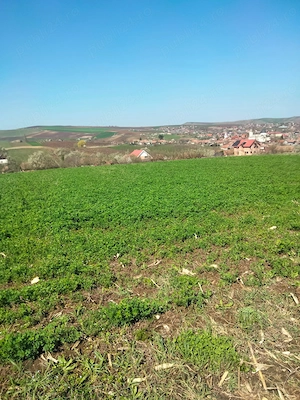 Vând pământ intravilan în comuna Riciu  - imagine 4