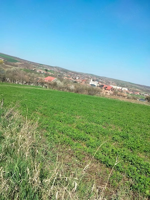 Vând pământ intravilan în comuna Riciu  - imagine 2