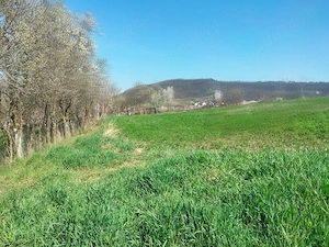 Vând pământ intravilan în comuna Riciu  - imagine 9