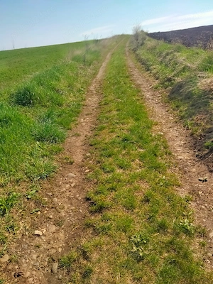 Vând pământ intravilan în comuna Riciu  - imagine 8