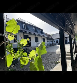     Transylvania Property in Dracula Region | Fully Furnished |  149,000