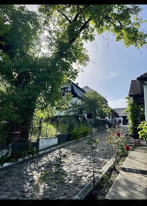  Proprietate rară lângă Sovata | gata de mutat sau Airbnb | 149.000   - imagine 5