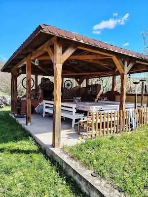Casa la rosu de vanzare Pestisu Mic 3500 mp - imagine 3