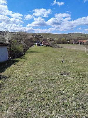 Casa la rosu de vanzare Pestisu Mic 3500 mp - imagine 4