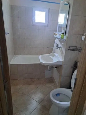 Tudor - Inchiriere apartament 1 camera - Str. Viitorului - imagine 5