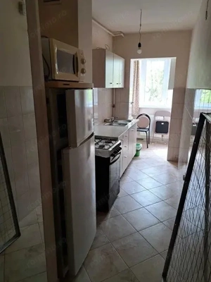 Tudor - Inchiriere apartament 1 camera - Str. Viitorului - imagine 2