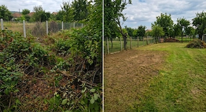 Tuns Gazon și Defrișări Terenuri - imagine 2