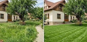 Tuns Gazon și Defrișări Terenuri - imagine 1