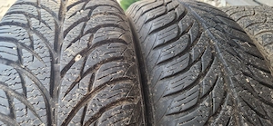 Roti Logan - imagine 4