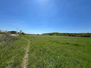 Teren extravilan 4500 MP, cu PUZ, Grigorescu , Oradea. - imagine 3