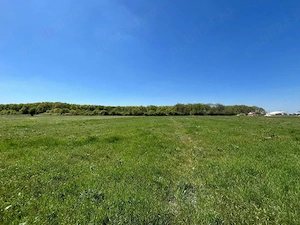 Teren extravilan 4500 MP, cu PUZ, Grigorescu , Oradea.