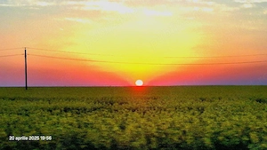 Caut biciclete ,cine vrea sa le doneze