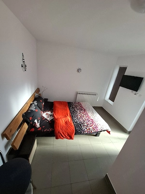 camera agigea  150 lei - imagine 2