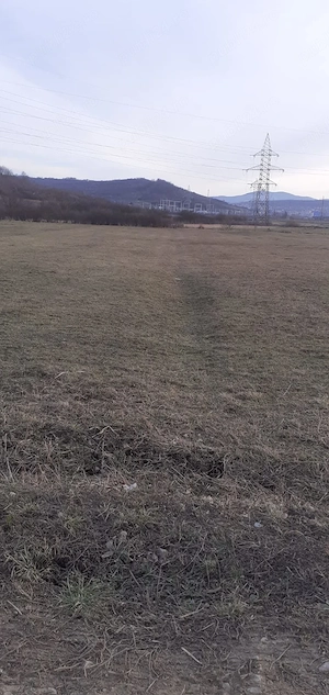 Teren Intravilan - Crișeni