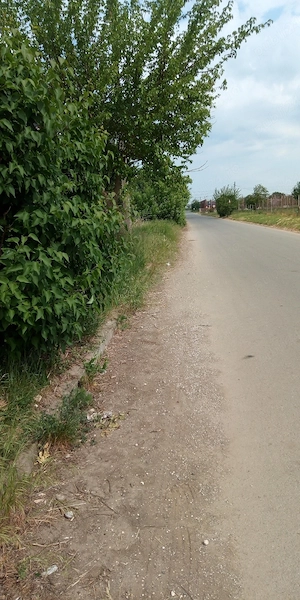 vinzare yeren - imagine 8