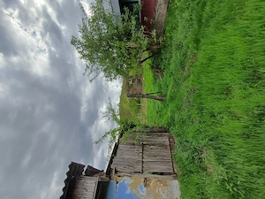 Se vinde casa batranesca , cu livada tanara , vie. Suprafața 1 hectar .  - imagine 3