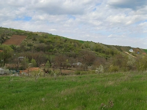 Se vinde casa batranesca , cu livada tanara , vie. Suprafața 1 hectar .  - imagine 5