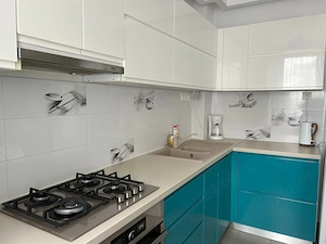 Proprietar - Studio - Bracoveanu - Tineretului - imagine 6