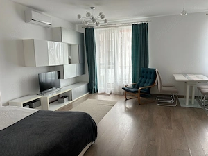 Proprietar - Studio - Bracoveanu - Tineretului - imagine 2