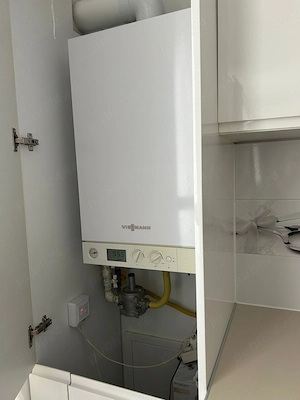 Proprietar - Studio - Bracoveanu - Tineretului - imagine 5