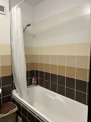 Proprietar - Studio - Bracoveanu - Tineretului - imagine 7