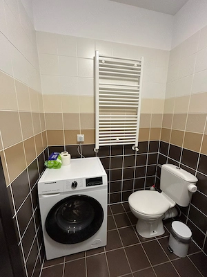 Proprietar - Studio - Bracoveanu - Tineretului - imagine 8