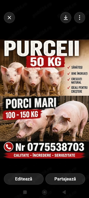 vnd porci si purcei