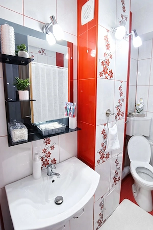 Inchiriez apartament cu 1 camera - imagine 10