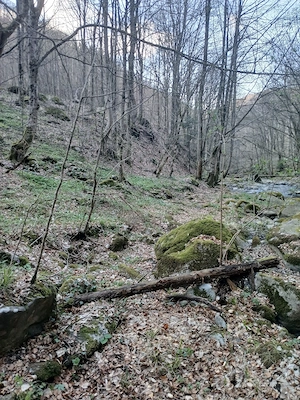 vand teren Borlova-Muntele Mic - imagine 5