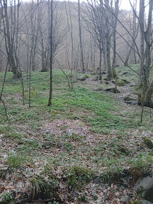 vand teren Borlova-Muntele Mic