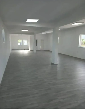 Spatiu Comercial Gârleni  - imagine 3