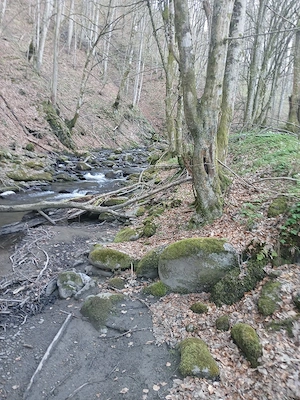 vand teren Borlova-Muntele Mic - imagine 4