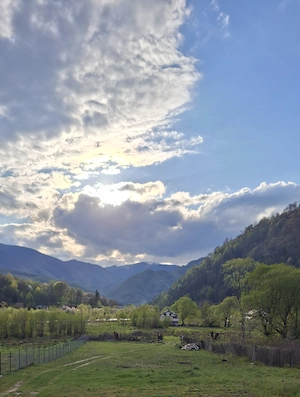 Teren de vânzare in Malaia(Vâlcea) - imagine 3