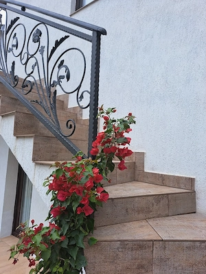 Se vinde Pensiune clasificată 3 stele in Costinești  - imagine 2