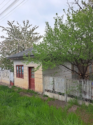 Vând casă în județul BUZĂU 