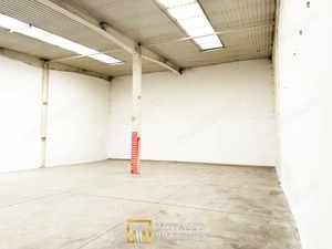 Spatiu industrial de inchiriat Arad 227 mp acces TIR - imagine 3