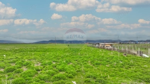 COMISION 0% | Teren intravilan hale producție/depozitare | Brașov - imagine 12