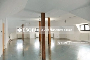 De vaznare vila in zona Romana, ID 12539,  pretabila sediu firma - imagine 12