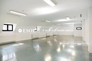 De vaznare vila in zona Romana, ID 12539,  pretabila sediu firma - imagine 7