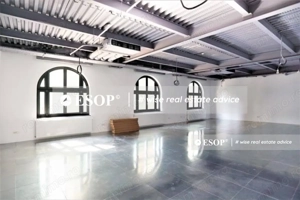 De vaznare vila in zona Romana, ID 12539,  pretabila sediu firma - imagine 9