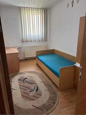 Persoana fizica - imagine 5